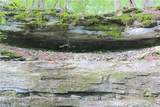 18440 Beaver Hollow Road - Photo 41