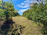 TBD Lake Francis Road - Photo 11