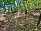 TBD Lake Francis Road - Photo 16