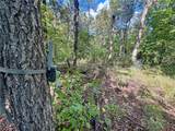 TBD Lake Francis Road - Photo 22