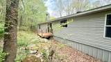 14731 Bush Road - Photo 34