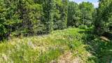 3.15 Acres War Eagle Blacktop Road - Photo 11