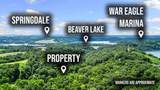 3.15 Acres War Eagle Blacktop Road - Photo 17