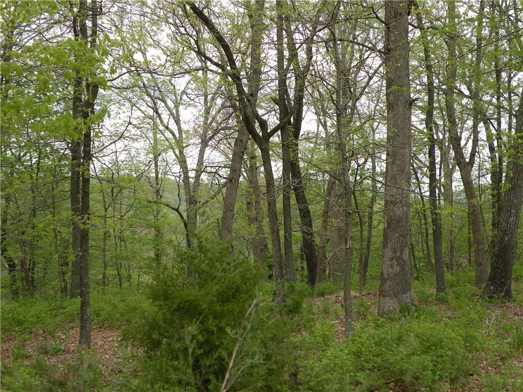 138 Holiday Island Drive - Photo 1