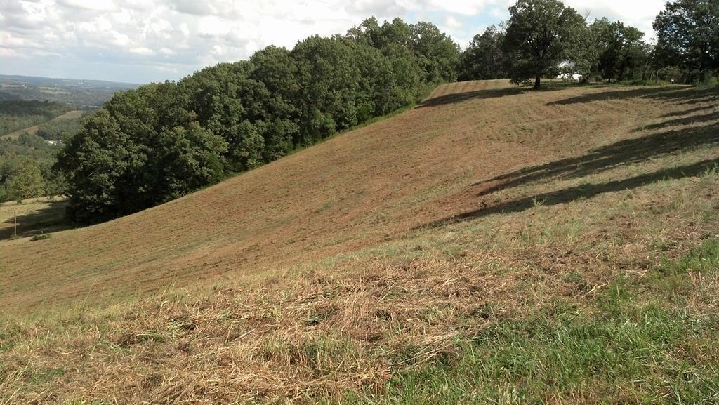 Lot 7 Cr 306 - Photo 1