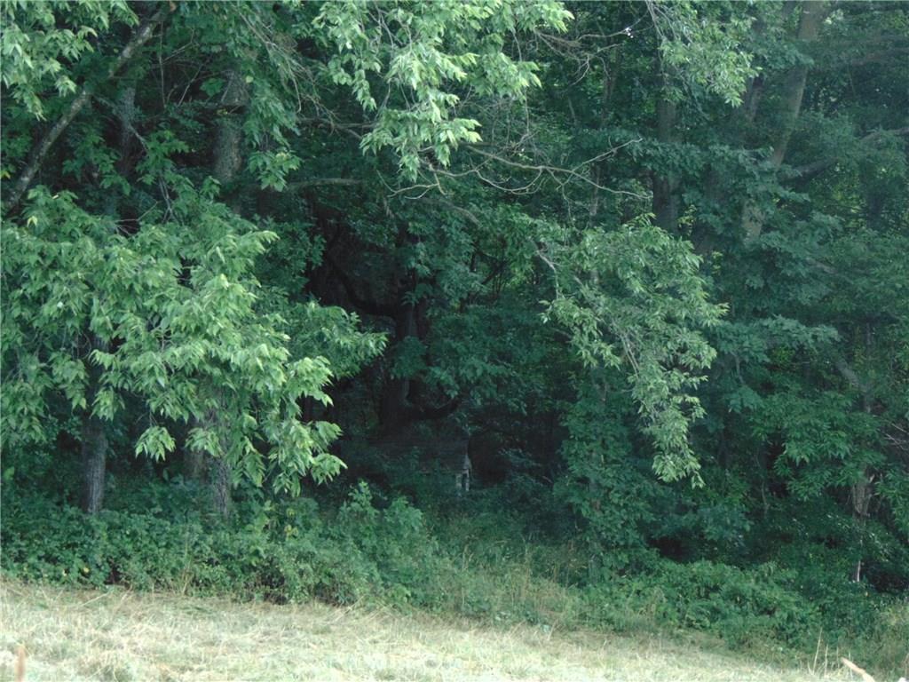 County Rd 8534 - Photo 1