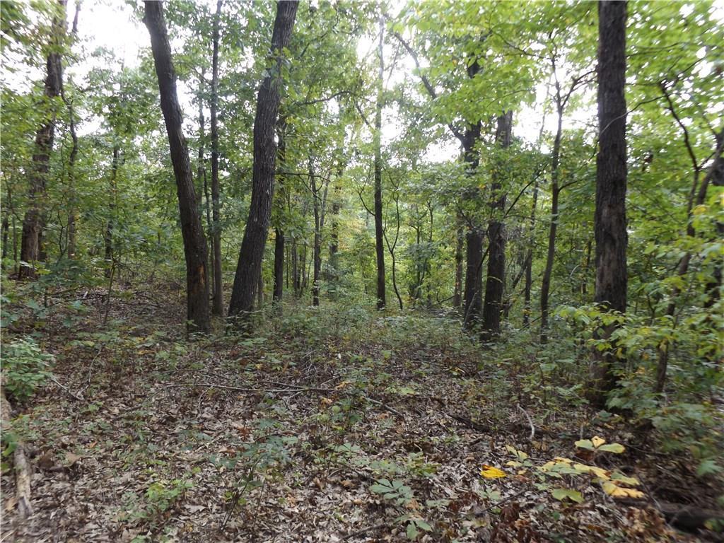 Lot 22 Cyclone Hills - Photo 1