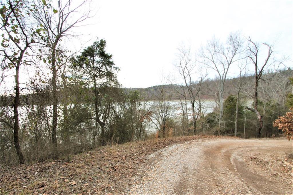 Hickory Springs Rd - Photo 1