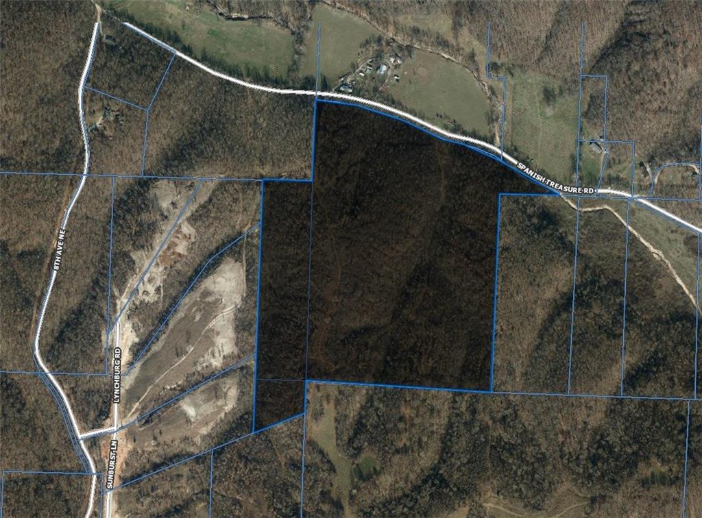 63.64 Acres Spanish Treasure Road - Photo 1 63.64 Acres Spanish Treasure Road - Photo 1