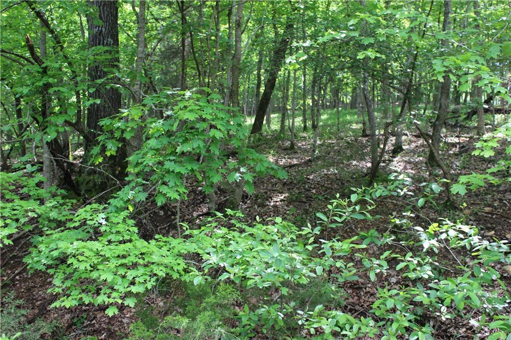 55 Cedar Lane - Photo 1