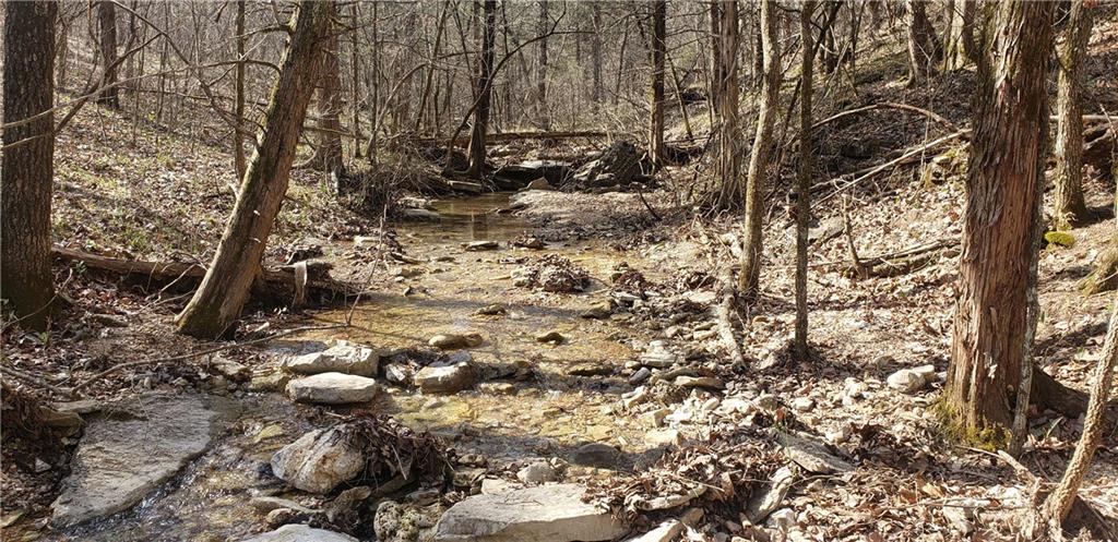 Mystic Warrior Rd - Photo 1
