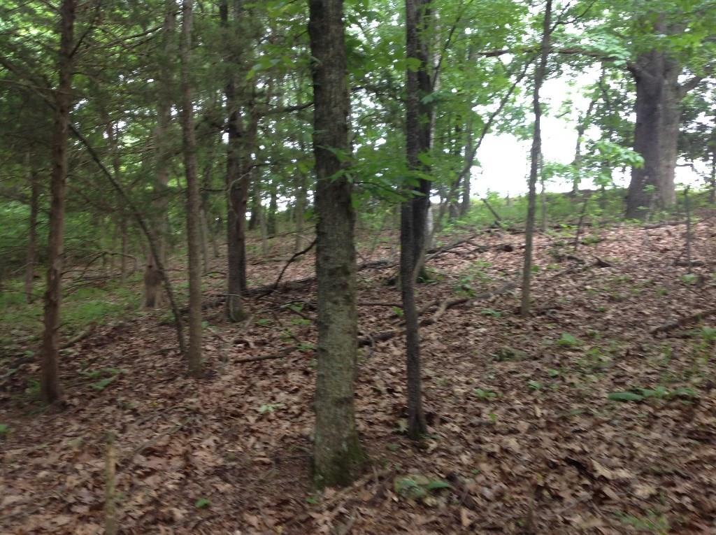Lot 27 Stoney Ridge - Photo 1
