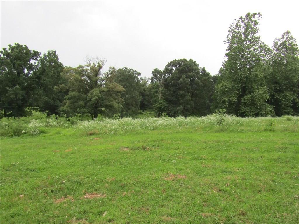 9.17 Acres N Mount Olive Rd - Photo 1