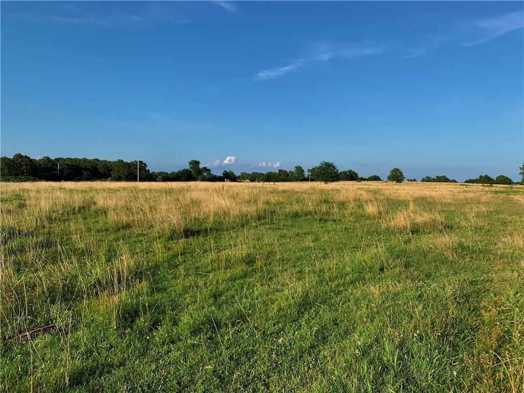 TBD (42.99 Acres) N Jackson Hwy - Photo 1