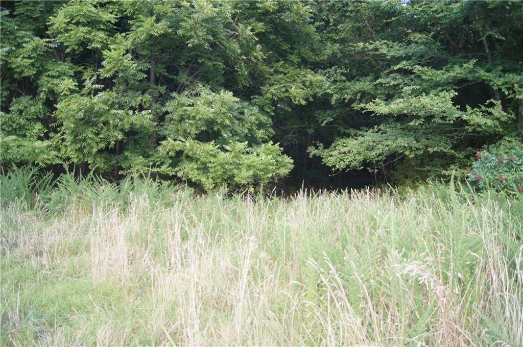 0 Frederickson Road - Photo 1