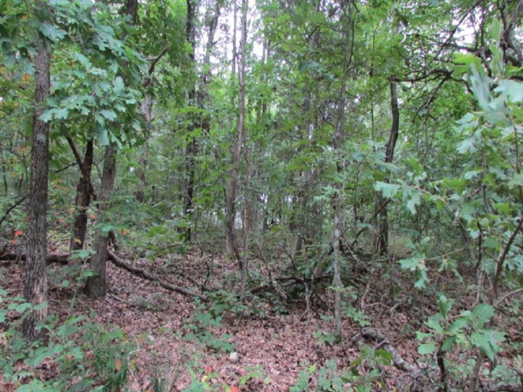 Carrick Cir - Photo 1