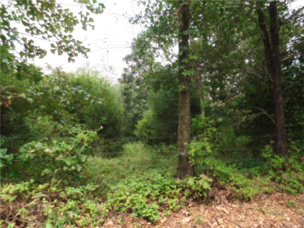 Clyde Edwards Rd - Photo 1