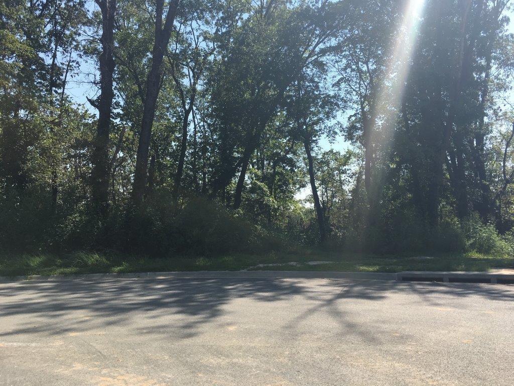 1.91AC Kingbird Court - Photo 1 1.91AC Kingbird Court - Photo 1