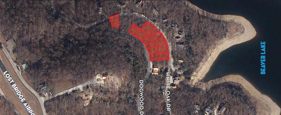 1.49 Acres White Oak/Dogwood Dr - Photo 1
