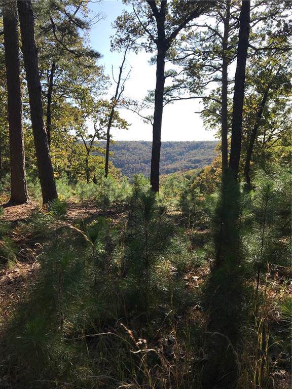 Ridge View Dr - Photo 1