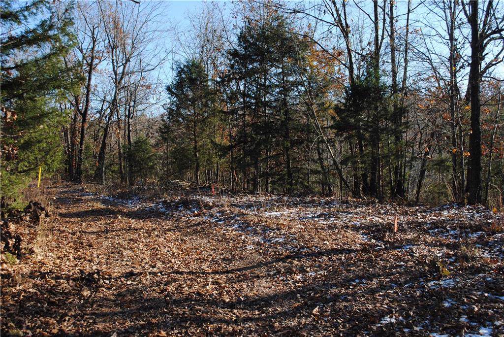 9.14 Ac Copeland Ln - Photo 1