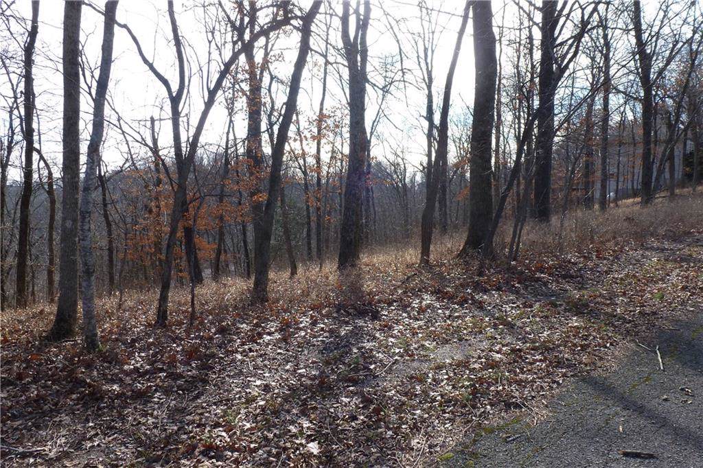 Bobwhite Lane - Photo 1