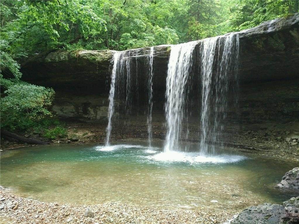 TBD 127 HWY - Photo 1