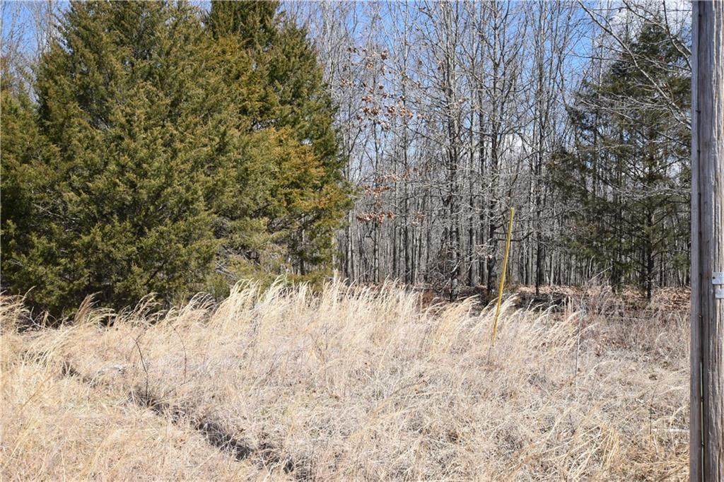 Posy Mountain Dr - Photo 1