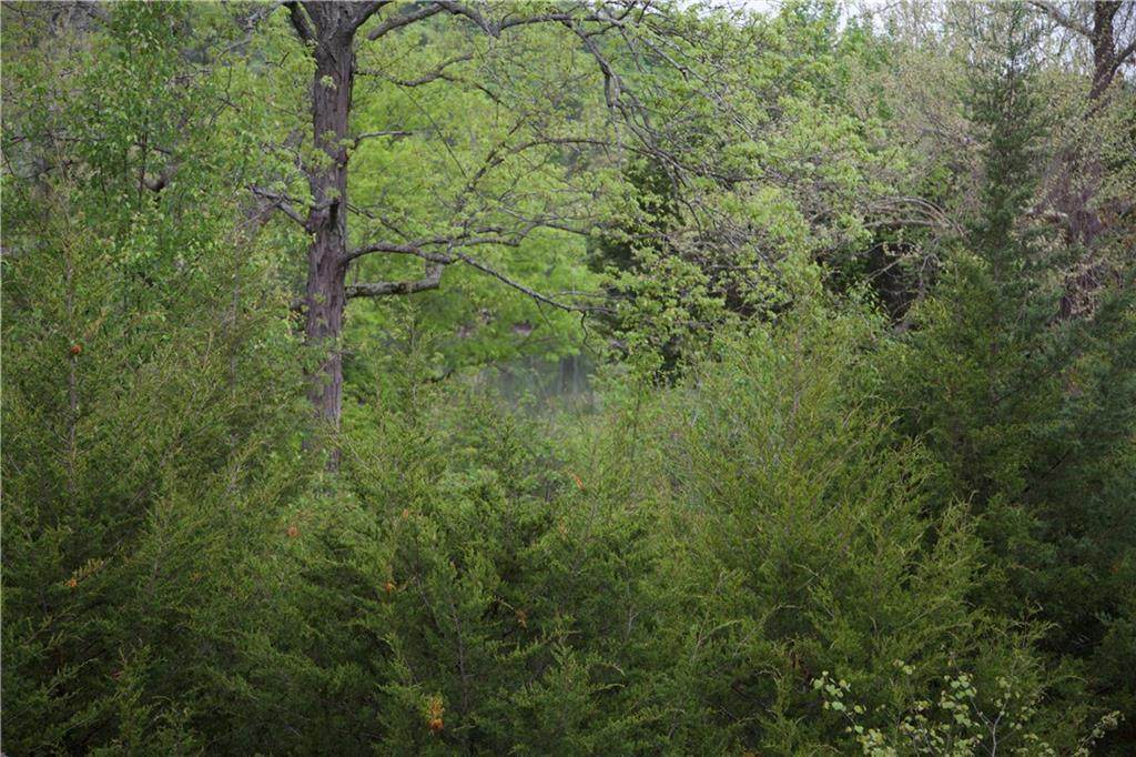 69 Blue Water Drive - Photo 1