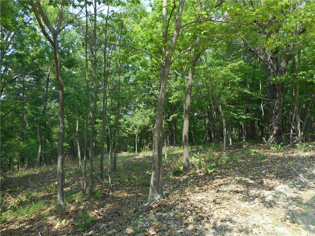 Cr 1520 - Photo 1