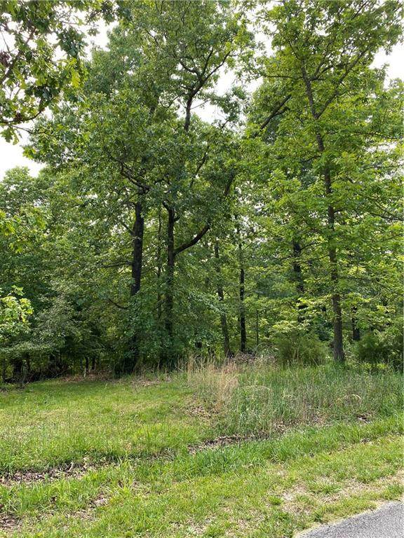 Lot 18 Ozark Ridge Drive - Photo 1