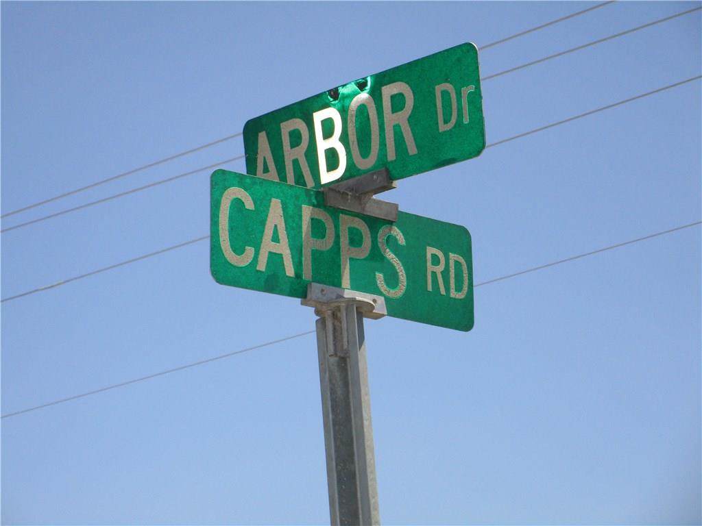 Lot 1 Arbor Drive - Photo 1