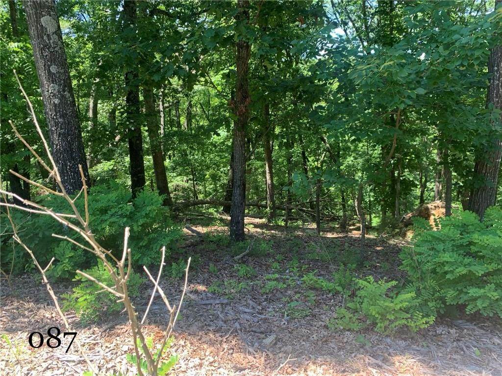 Lot 15 Country Club Drive - Photo 1