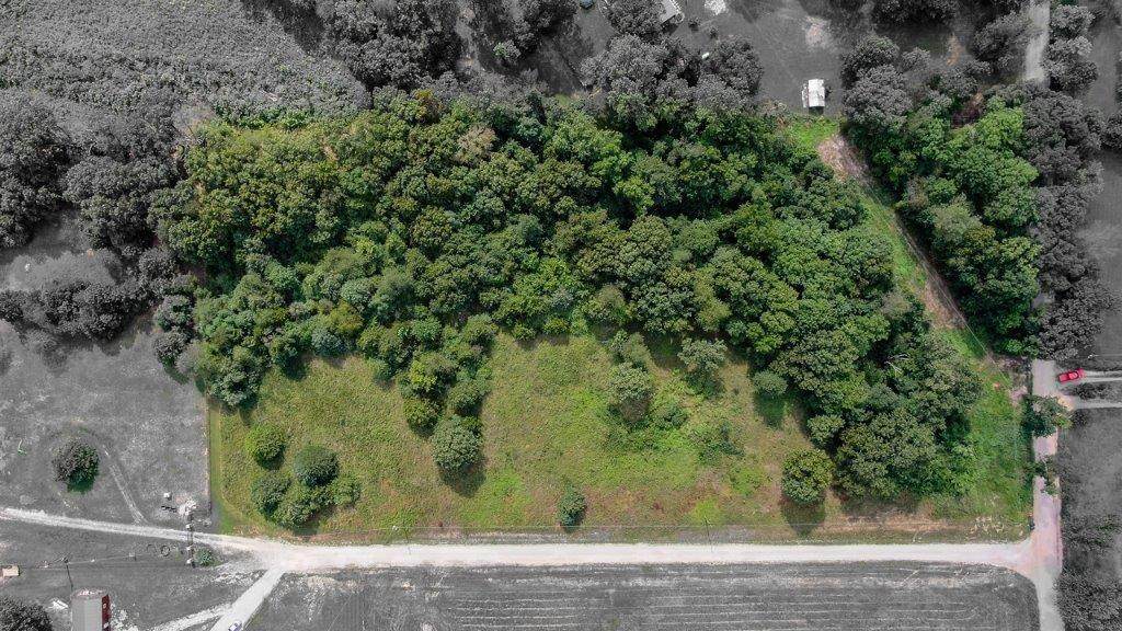 5.80AC Bullock Road - Photo 1