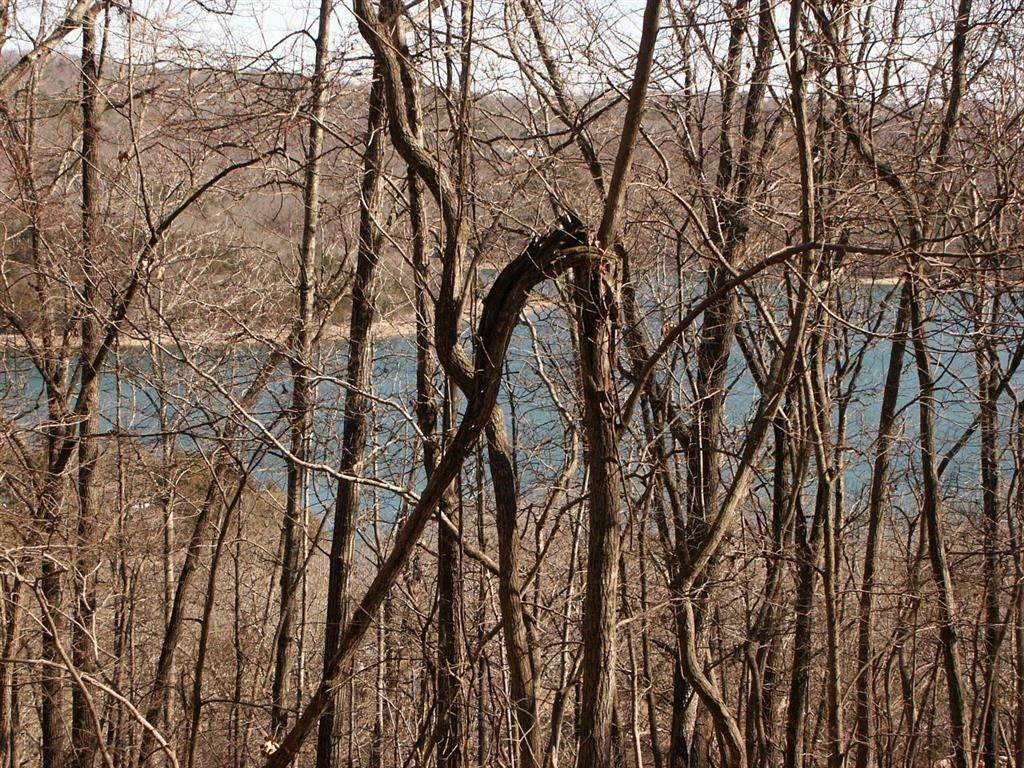 Schulz / Dogwood Drive - Photo 1