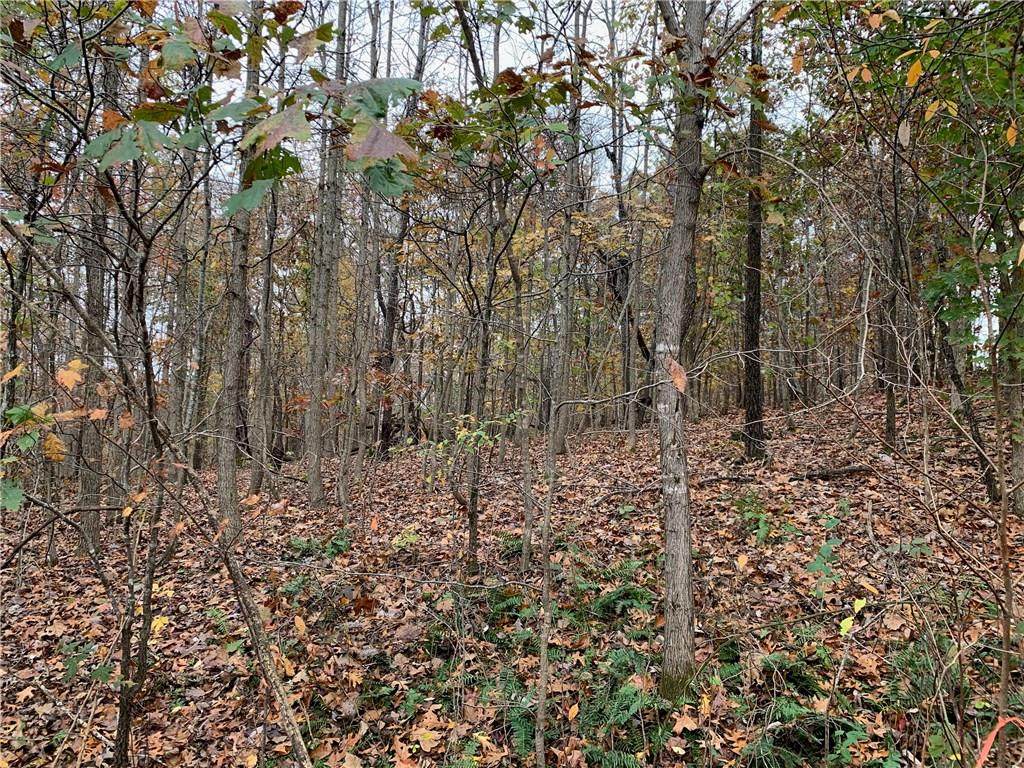 Lot 14 Hall Lane - Photo 1
