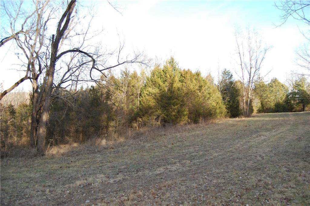 County Road 214 - Photo 1
