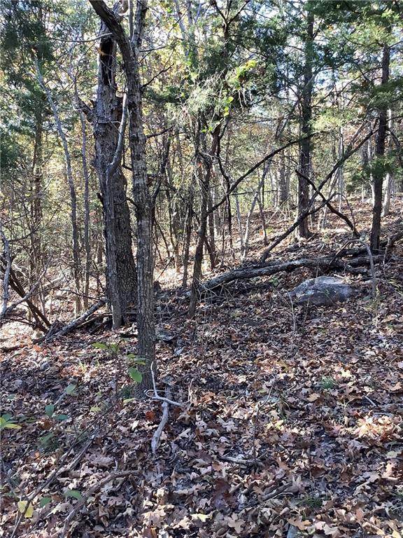 Lot 39 & Lot 40 Dogwood & Maple Drive - Photo 1