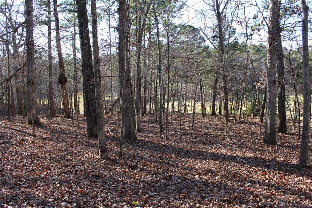 2475 Augusta - Photo 1