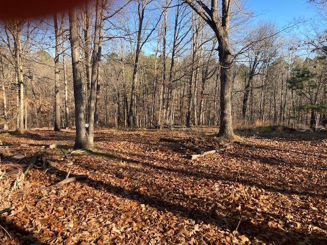 1038 Stone Ridge Trail - Photo 1