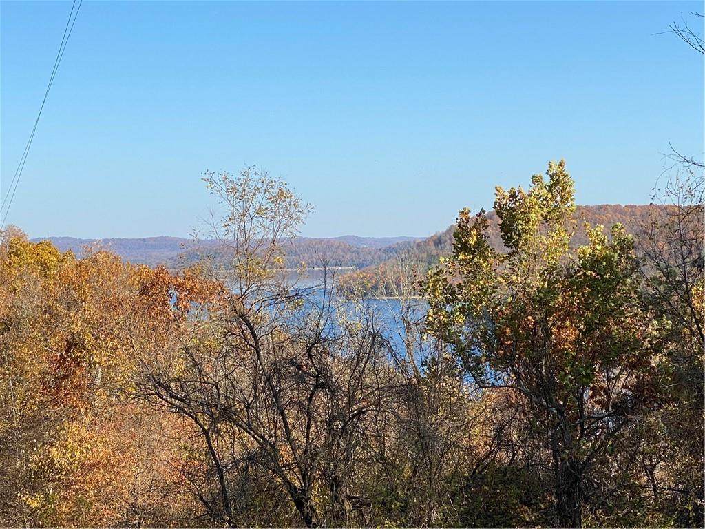 TBD Platt Lane - Photo 1