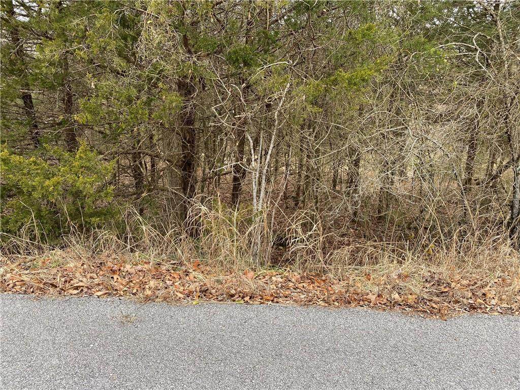 37 Horseshoe Drive - Photo 1