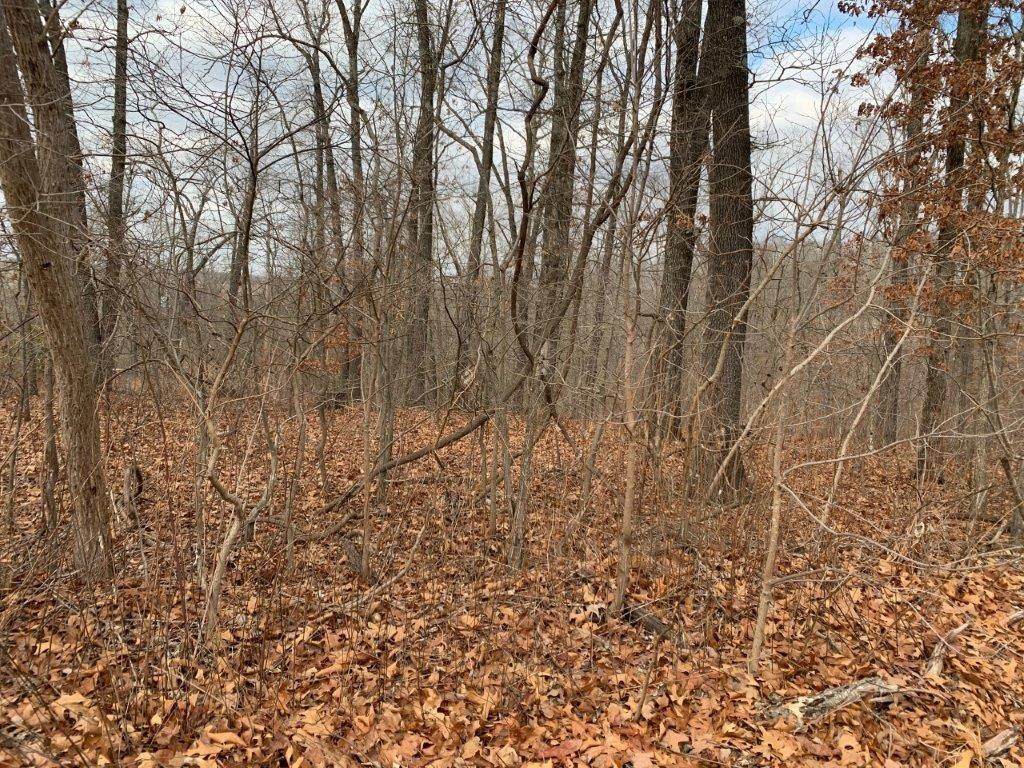 Lot 52 Rountree Drive - Photo 1