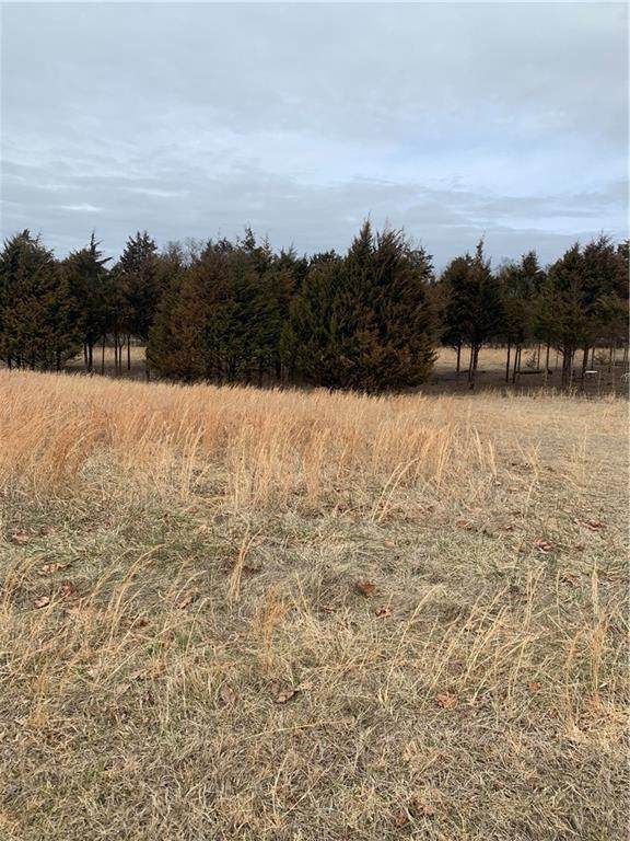 Tract 3 Doc Meyer Road - Photo 1