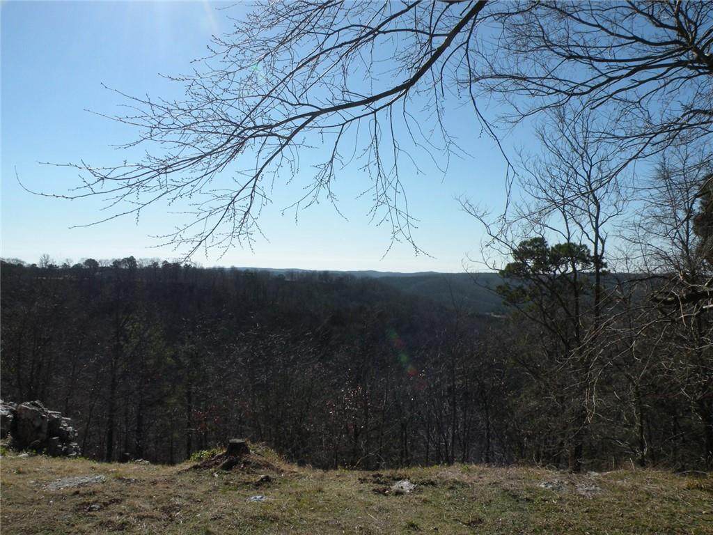 167 Holiday Island Drive - Photo 1