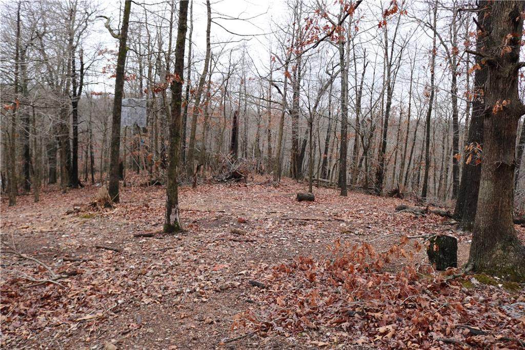 Esculapia Hollow Road - Photo 1