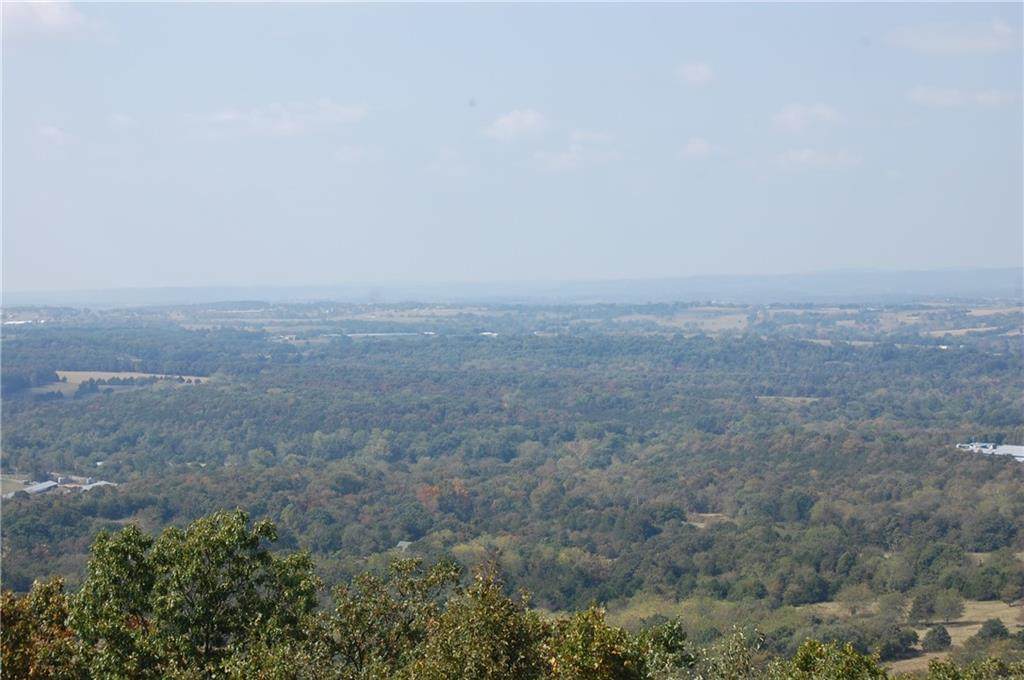 247 County Road 449 - Photo 1
