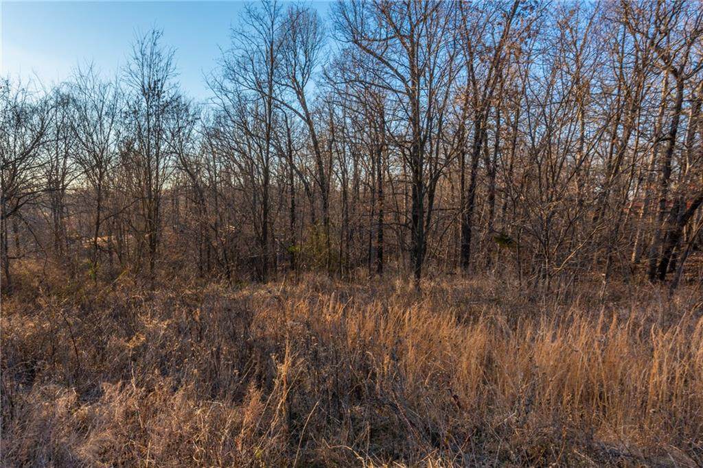 2453 Double Springs Road - Photo 1