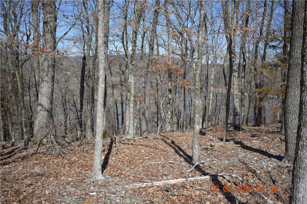 75 lot Cedar - Photo 1