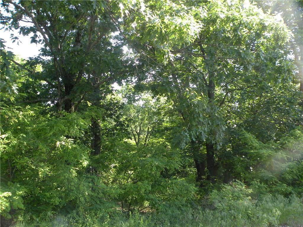 50 Cypress - Photo 1